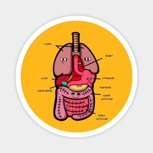 Anatomy Kids Kawaii cute design Magnet